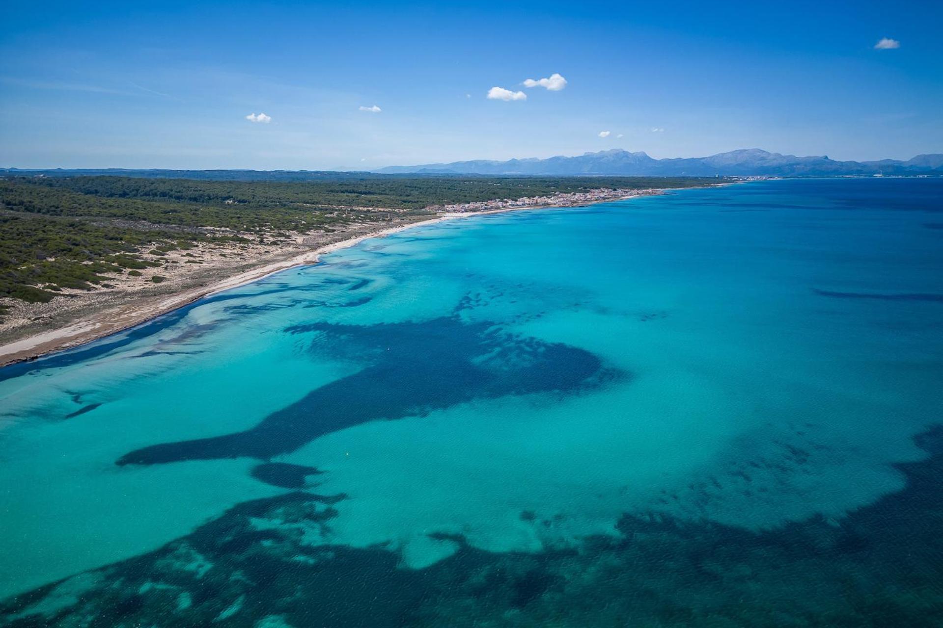 Ideal Mallorca - Casa Bel *