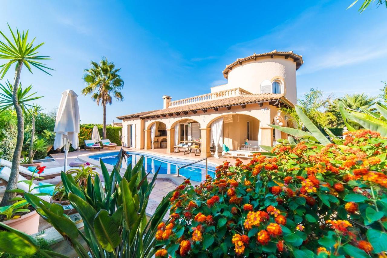 Ideal Mallorca - Casa Bel Ferienhaus *